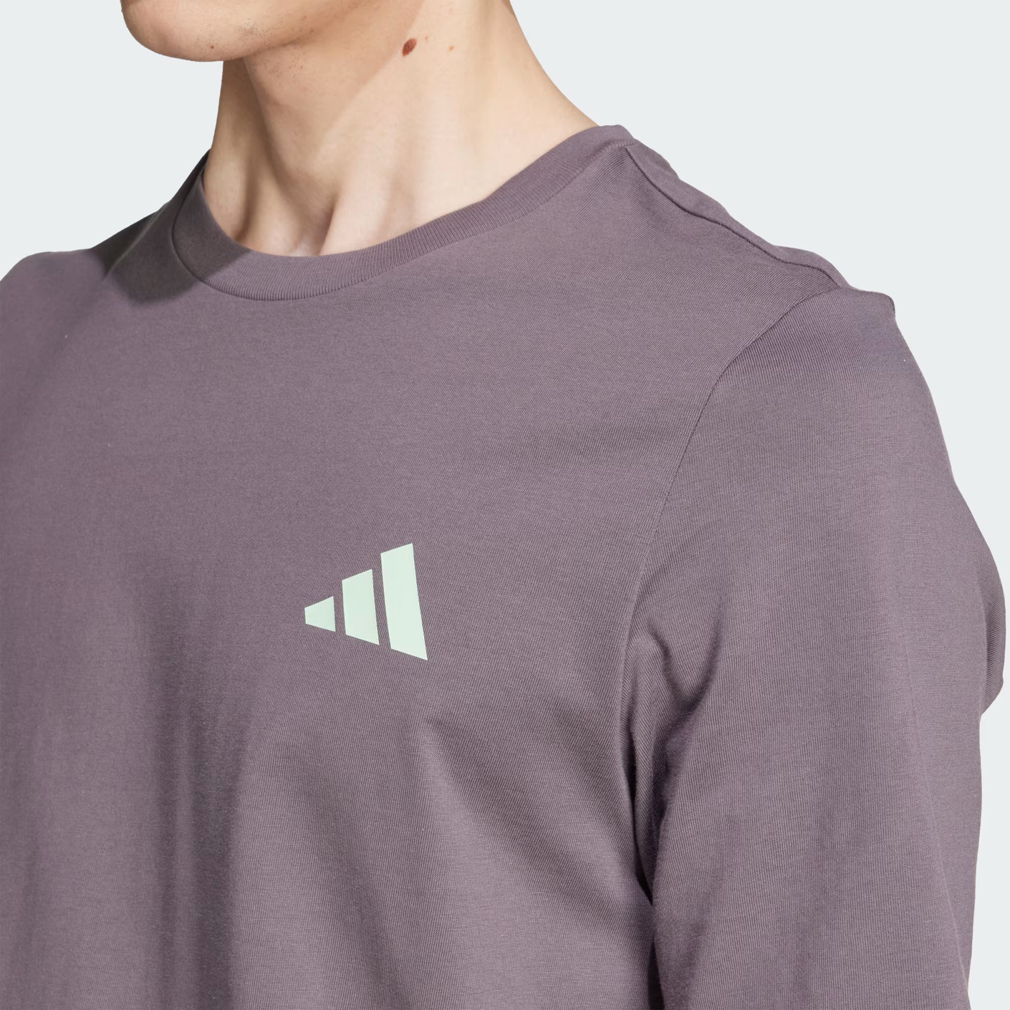 Mercedes - AMG Petronas Formula One Team Premium Woven Graphic Tee